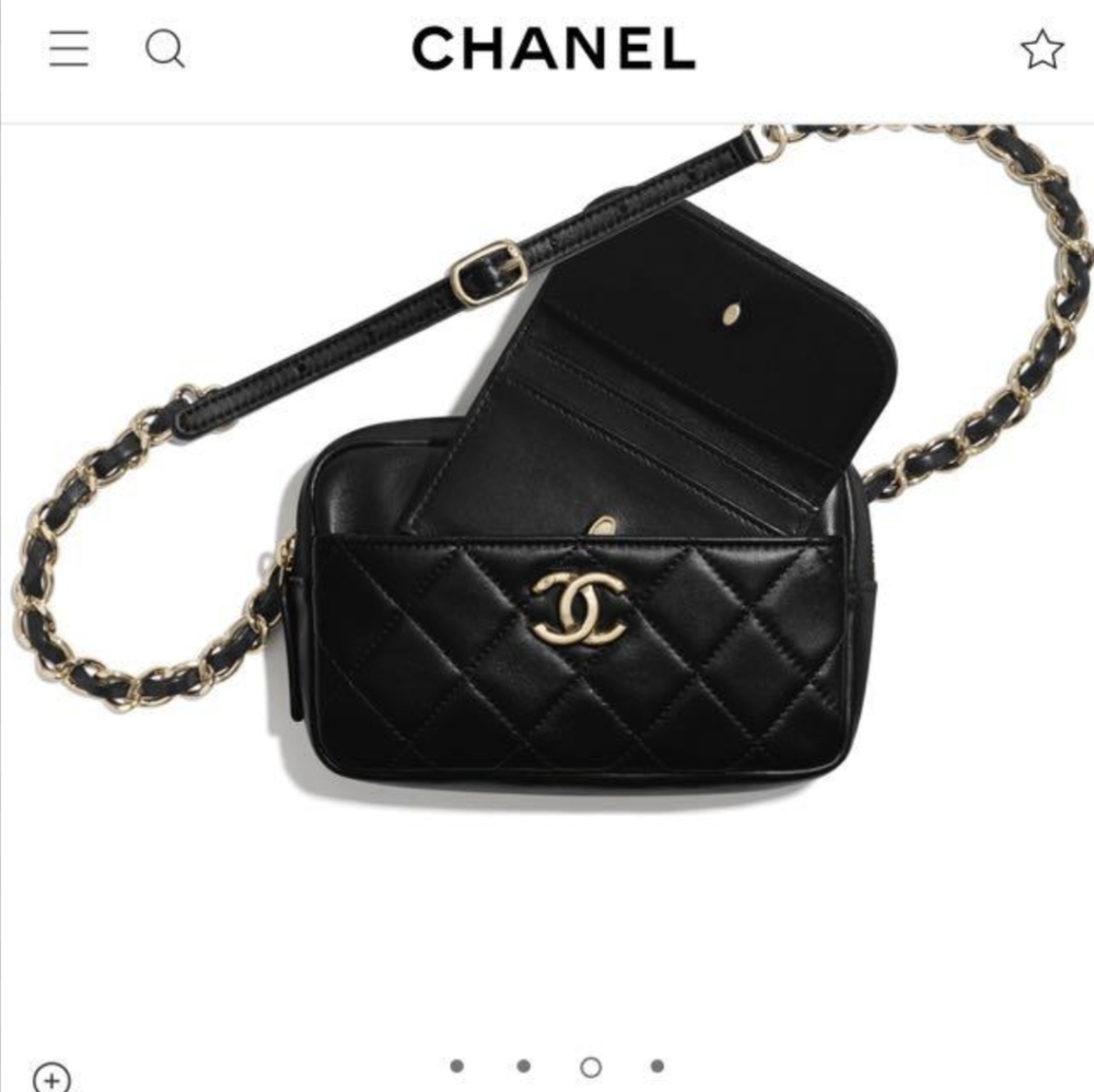 KYLIE JENNER'S 💕 Chanel Waist Bag!! - Picture 2 of 16